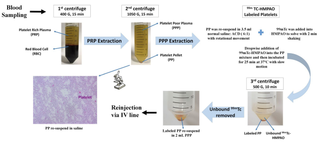 Schematic overview of the study procedure including the labeling and imaging procedures